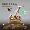 Philips Home Spinning Bike Intelligent Self-Powered Fitness Equipment Weight Loss Sports Indoor Bike Little Golden Deer 3102B