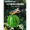 Green Forest Fruit Picking Magic Telescopic Pole for Picking Persimmons, Fruit Scissors for Picking Loquats and Longan, High-altitude Picking Scissors for Toon Picking, 2 Sections of Strong Telescopic Style, 1.15-2.25 Meters +