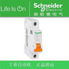 Schneider small circuit breaker EA9AN1 1P C/D type 6/10A/16A/20A/25/32/40/50/63 EA9AN1D16 1P D16A