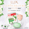 Lux Cooling Soap Refreshing Anti-Itching Bath Soap Leaves Fragrance and Refreshes the Whole Body Used to Remove Bacteria and Mite Soap Family Value Pack Refreshing Anti-itching Soap 100g*3 Pieces