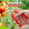 Vinoa stainless steel nest-type fruit picking scissors, special scissors for tomatoes and apples, orange picking scissors, fruit handle concave pruning scissors, stainless steel nest scissors, 1 pack, upgrade belt