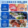 Zhongke West Cold Ultra-low Temperature Freezer -60 Degrees Frozen Tuna and Seafood Large Capacity Household Storage Horizontal Refrigerator - 40-80 Cell Level Cryogenic High-end Food Storage Box 228L (Three Options) -65 Degrees (-25 Degrees to -65 Degrees Adjustable)