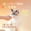 Gewu'an New Taste Staple Food Cat Strip Spoon Cat Strip Cat Wet Food Ice Cream Texture Berry Mixed Flavor 15g*3
