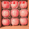 Shandong Yantai Red Fuji Apple, crispy and sweet rock candy heart, fresh whole box fresh gift box, seasonal, 9 catties package, the most cost-effective, net weight 8.5 catties, export-grade fruit, super sweet