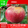 Jingdida Sichuan Daliangshan Ugly Apple, net weight 8 pounds, single fruit 85mm+, fresh fresh fruits shipped directly from the source, free shipping