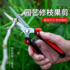 Fengxi powerful and labor-saving fruit-picking scissors, stainless steel serrated gardening pruning shears, fruit and vegetable gardening tools (1 set included)