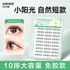 Oeiez glue-free false eyelashes for women, natural simulated sunflower self-adhesive transparent stems, easy-to-operate eyelashes for novices, 120 clusters