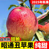 2025 Yunnan Zhaotong City Ugly Apple Red Dew Fruit Fresh Full Box Seasonal Fuji Candy Apple Shaotong 5kg Extra Large Fruit (90-100)