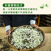 Zhang Yiyuan Tea Jasmine Tea Jasmine Xuefeng Strong Fragrance Spring Tea New Tea Eight Scented Souvenir Special Grade 100g Can