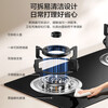 Boss (Robam) Star Series Gas Stove Gas Stove 20B0A Household Natural Gas Double Stove Embedded Desktop Gas Stove 5.0KW Adjustable Stove Replacement without Changing the Hole Trade-in