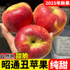 2025 Authentic Yunnan Zhaotong Rock Candy Heart-Chou Apple Fresh Fruit Apple Seasonal Crisp Sweet Fruit Straight from Origin 5 Jin Pack Extra Large Fruit (90-100)
