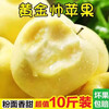 Marshal Huang Apple, Yellow Banana, Apple Powder, Glutinous and Sweet, Freshly Picked Fruit for Baby and the Elderly, 9 Jin Pack 9 Jin Pack 85mm-90mm
