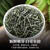 Zuijunhuai Tea 2025 new tea Mingqian bud special grade strong fragrance Maojian green tea for self-drinking 250g bag for self-drinking
