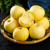 Beijing Fresh Shandong Cream Fuji Apple, net weight 8 pounds, single fruit 80-85mm, fresh fruit, direct shipping from the source, free shipping