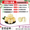 Uncle Sam Venus Apples, next-day delivery to multiple places, golden apples, crispy and sweet, fresh new year gift box, fruit gift box, sweetness upgrade, 7A special fruit | single fruit 70-75mm, 5kg package, 80% selection - great value recommendation, 4kg net*