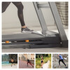 Fujihua (FUSHIHUA) American Icon Nordic treadmill 13019/S40 family climbing folding high-end
