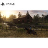 PlayStationPS4/PS5 new game disc game software Red Dead Redemption 2 Chinese