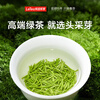 Lepinle tea head picking bud Maojian special grade 2025 new tea green tea Mingqian bud tea gift box 250g for elder leaders
