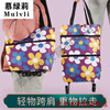 New Folding Grocery Cart with Wheels Telescopic Dual-Purpose Portable and Durable Shopping Bag Trolley Blue Daisy Model + Wheels Bearing 25 catties 1 piece