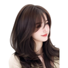 Qiansiya wig for women with long hair, no need to wear a hair net to replace the hair on the top of the head, fluffy and increase the hair volume, cover white hair, high skull curly wig piece, Korean style micro curly hair - French style 9*12 mocha brown 45cm