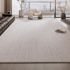 AOVOC carpet living room 2025 new no-wash wipeable light luxury high-end modern carpet mat Langyao 02 2*3 meters