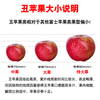 Jingmi Sichuan Daliangshan Ugly Apple, 8 pounds net, single fruit 80mm+, fresh fruit rock candy heart apple, straight from the source
