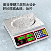 ZHIZUN electronic scale for business, small 30kg accurate electronic scale for selling vegetables and stalls, weighing food and fruits, kitchen scale, pricing scale, dual display LCD flat plate, 30kg 5g