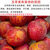 Jingxiansheng Sichuan Daliangshan Ugly Apple 8.5kg, single fruit 80mm+, Yanyuan Ugly Apple, straight from the source