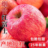 Red Fuji apple fruit fresh seasonal whole box 10 jins flat fruit rock candy heart ugly apple crispy sweet free shipping full box 5 jins 75-80mm
