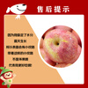 Jingmi Shaanxi Red Fuji Ugly Apple, net weight 4.5kg, single fruit 220g+, fresh fruit, straight from the source