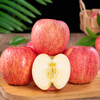 Jingdida Apple Yantai Apple Qixia Red Fuji Apple Fresh Fruit New Year's Goods 4.5 Jin Single Fruit 75mm + Straight from the Source