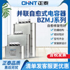 Chint Capacitor BZMJ0.45 0.4 reactive power compensation self-healing low voltage parallel power compensator 450v BZMJ-0.45-40-3