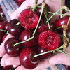 Chilean cherry crispy sweet imported fruit gift box for pregnant women 250g (net weight) 4J artificially selected 32-34mm super sweet