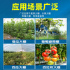 Anti-aging plastic sheet greenhouse plastic film anti-aging drip-free film vegetable greenhouse insulation film transparent greenhouse film 10S thick imported anti-aging high insulation greenhouse film 11 meters wide and 35 meters long