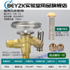 Refrigerator air conditioning cold storage TF type right angle internal balance R22/R410/134A throttling thermal expansion valve R22/R407 valve body with (core 2) free nut