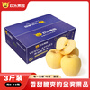 Joy Tree Shandong Golden Venus Apple Freckled Apple 3kg 8-10 pieces gift box fresh fruit