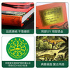 Miracle Museum Series Dinosaur Museum Fun 7-year-old + Children's Popular Science Encyclopedia Dinosaur Book Primary School Students Extracurricular Reading Book