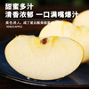 Uncle Sam Venus Apples, next-day delivery to multiple places, golden apples, crispy and sweet, fresh new year gift box, fruit gift box, sweetness upgrade, 7A special fruit | single fruit 70-75mm, 5kg package, 80% selection - great value recommendation, 4kg net*