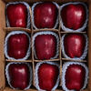 Origin: Gansu Tianshui Huaniu Apple, seasonal fresh fruit, sweet apple powder, 12 pieces in a selected gift box