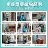 Liteclear Japan imported door-to-door formaldehyde removal service professional whole house formaldehyde treatment new house office formaldehyde removal service