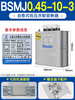 Shanghai three-phase self-healing low-voltage parallel power capacitor BSMJ0.45 reactive power compensation cabinet 450V Shanghai 10Kvar 250v -3 (three-phase) (cylindrical)