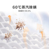 Hisense fully automatic front-loading single-wash washing machine 10KG ultra-thin high cleaning ratio first-class energy efficiency small rental household WF100A0Q trade-in appliance subsidy JD.com self-operated