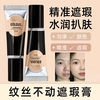 Concealer covers spots, dark circles, moisturizes tattoos, moisturizes and brightens, waterproof, makeup artist retouches, students, long-lasting EOLGUL Concealer 01
