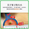 Jingdida Sichuan Daliangshan Ugly Apple, net weight 8 pounds, single fruit 85mm+, fresh fresh fruits shipped directly from the source, free shipping