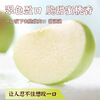 Jingdida Shandong Aomori Peach Apple Gift Box Net Weight 6.5 Jin Single Fruit 200g + Direct Shipping from Source