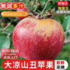 Jingdida Sichuan Daliangshan Ugly Apple, net weight 8 pounds, single fruit 85mm+, fresh fresh fruits shipped directly from the source, free shipping