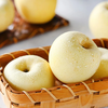 Beijing Fresh Shandong Cream Fuji Apple, net weight 8 pounds, single fruit 80-85mm, fresh fruit, direct shipping from the source, free shipping