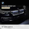 BMW official original dazzling light screen grille car front grille modified ambient light 3 series 5 series luminous grille voucher suitable for 3 series (grille body + electronic components)