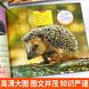 Complete 4-volume children's animal encyclopedia, large picture and large character encyclopedia, 3-6 years old encyclopedia picture book, animals are really interesting, animals are strange, animals are so cute, primary school students' animal secrets