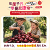 New Zealand Fruit Baby Cherry Apple Juice 220mL*6 customized DIY gift box 0 Add New Zealand imported drinks Christmas gifts